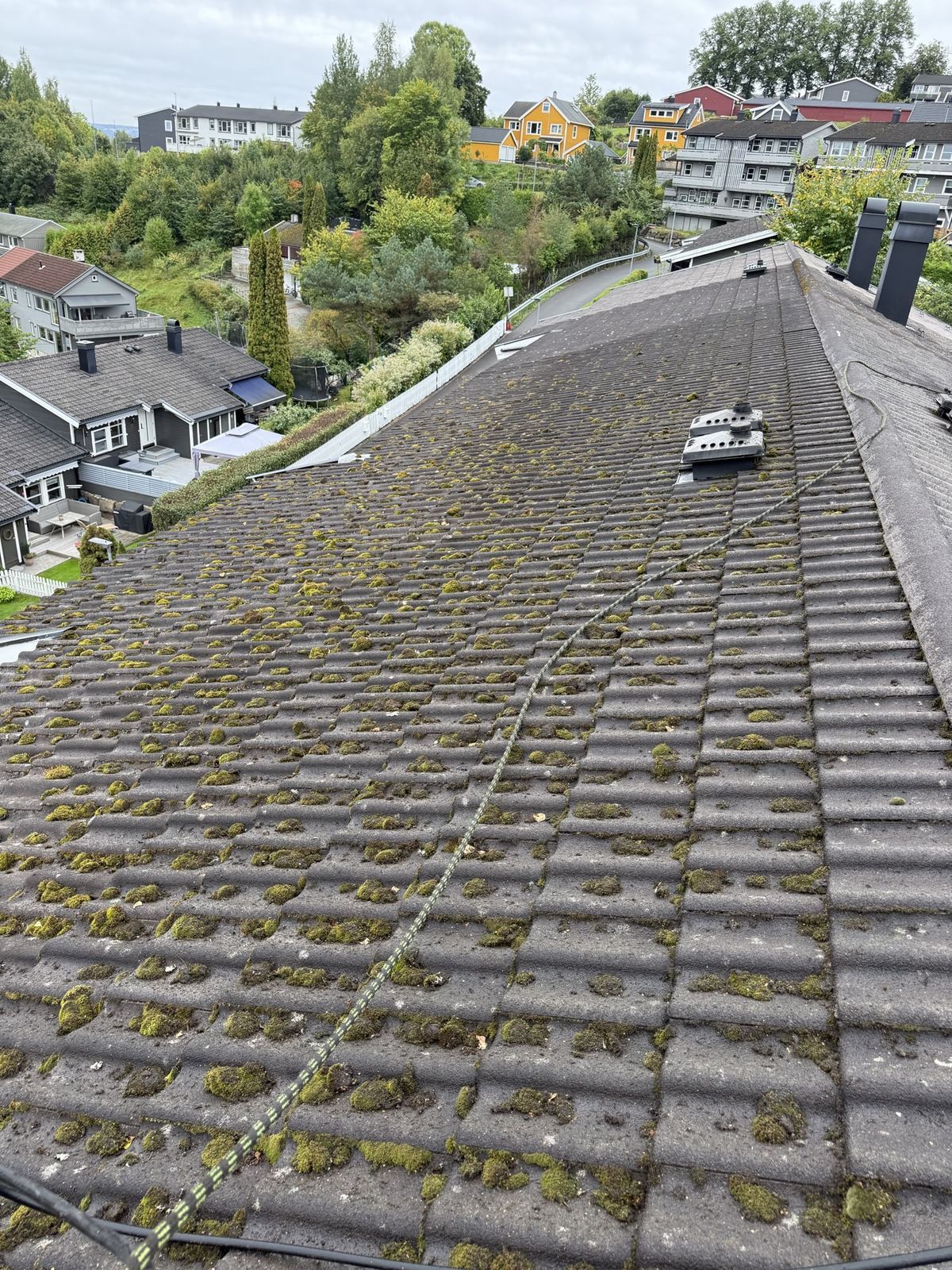 Mørkt betongsteinstak med tett mose i hver rad